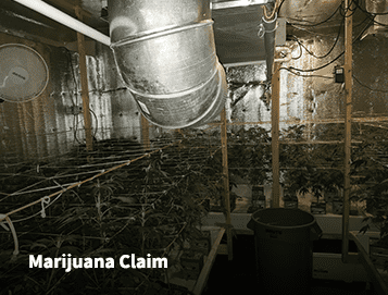 Marijuana Claim