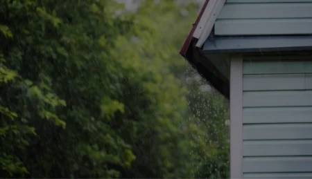 The Process of Water Damage Restoration