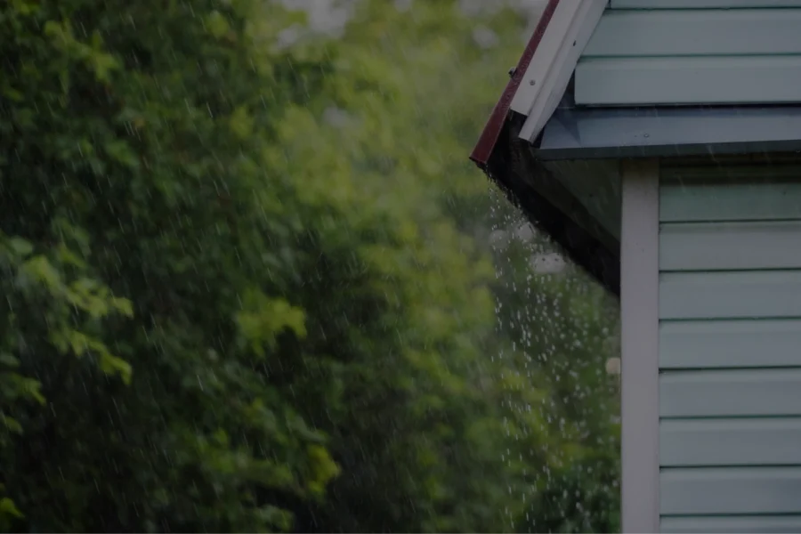 The Process of Water Damage Restoration