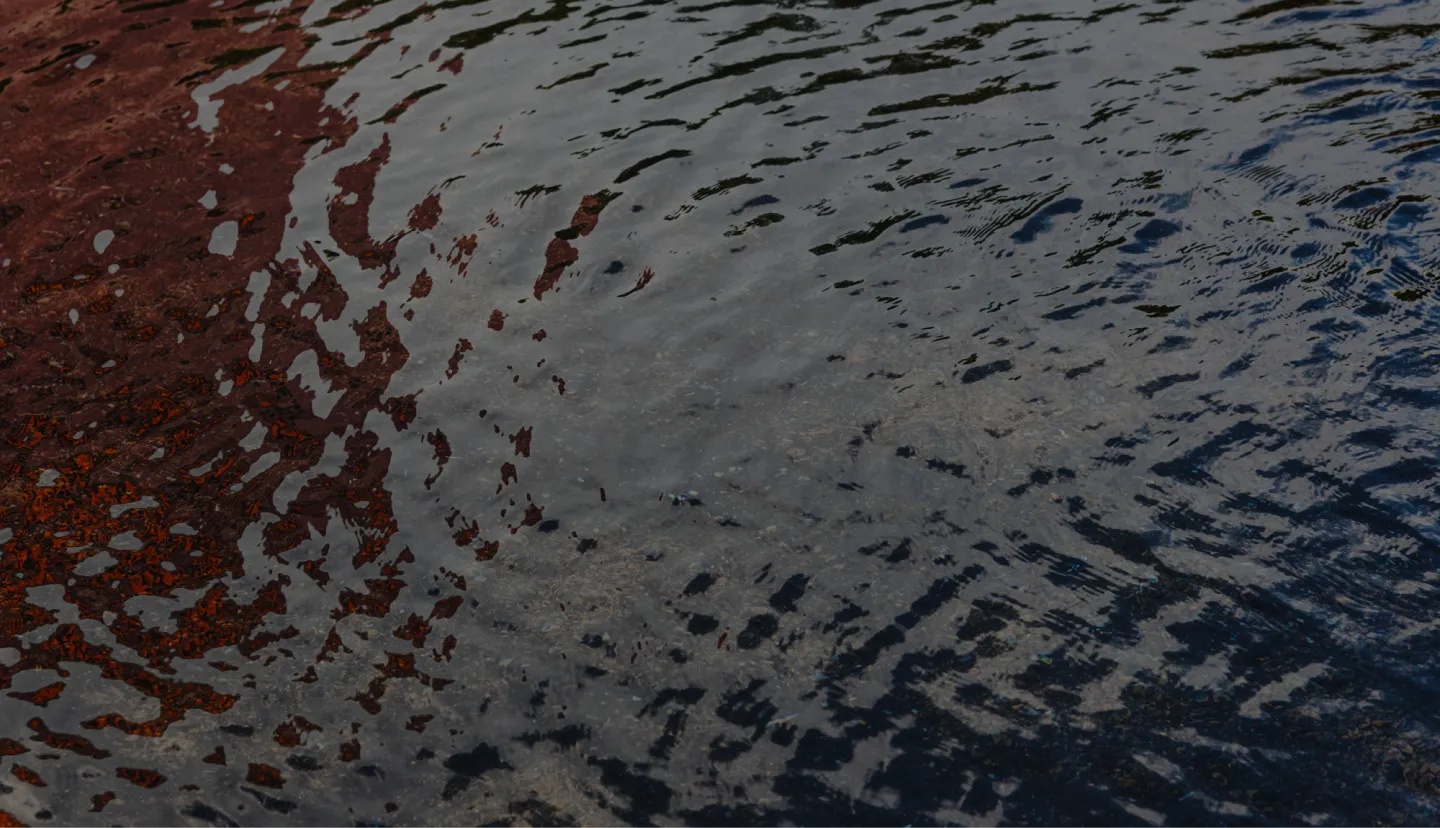 Water Damage Emergency