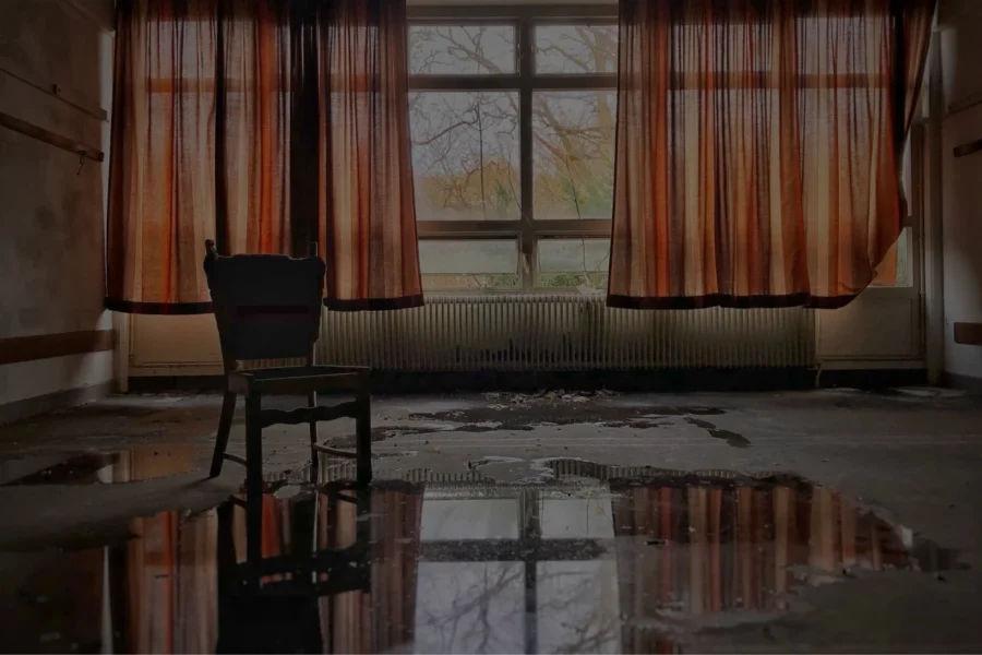 Water Damage Remediation