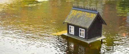 Water Damage Remediation