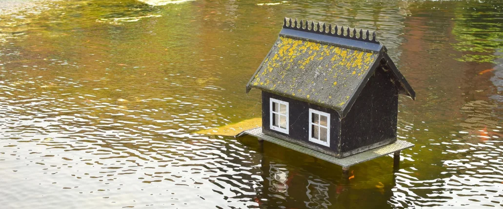 What is Water Damage Remediation
