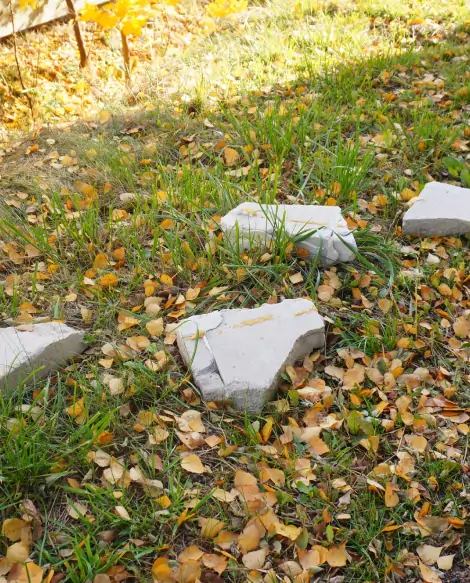 vandalism claim covers