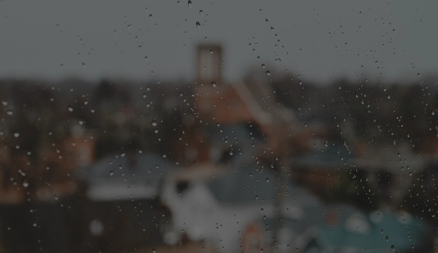 What Should You Do Once You’ve Identified Water Damage