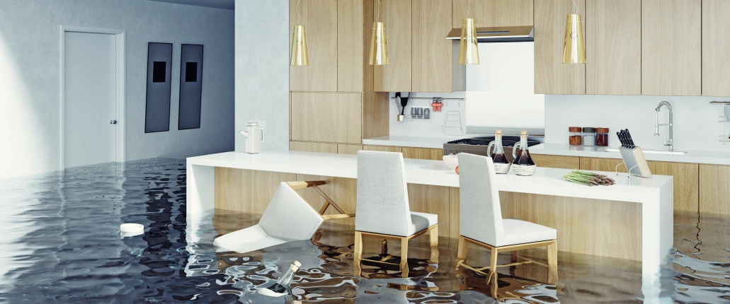 How to Deal with Insurance Adjuster After Water Damage