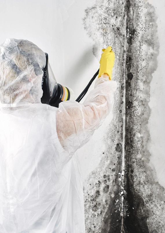 Remove_Mildew_and_Secondary_Damage