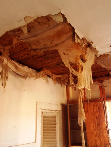 Manage All Communication with the Insurance Company